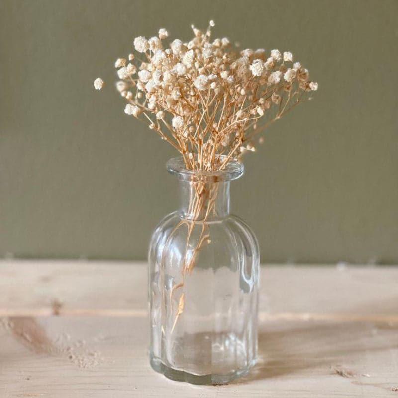 Buy Artificial Flowers - Naturally Dried Baby Breath Stems (White) - Set Of Five at Vaaree online