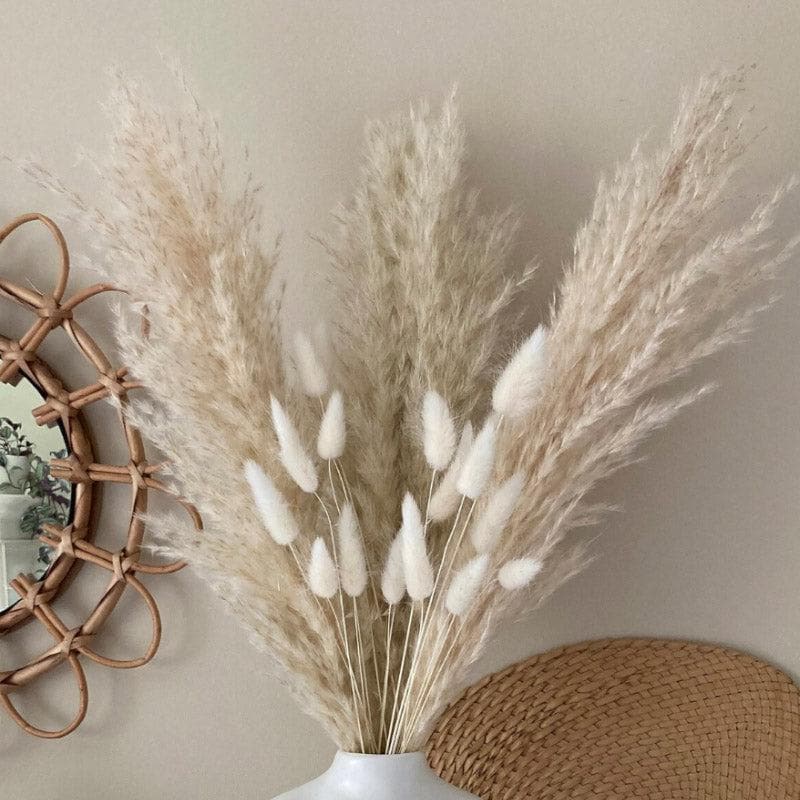 Buy Artificial Flowers - Naturally Dried Pampas And Bunny Tail Flower Bunch - Set Of Fifteen at Vaaree online