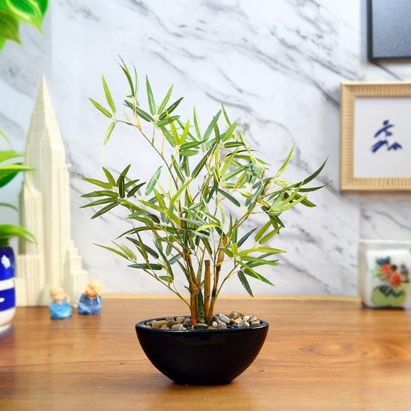 Buy Artificial Plants - Faux Bamboo Bonsai In Bowl Pot at Vaaree online