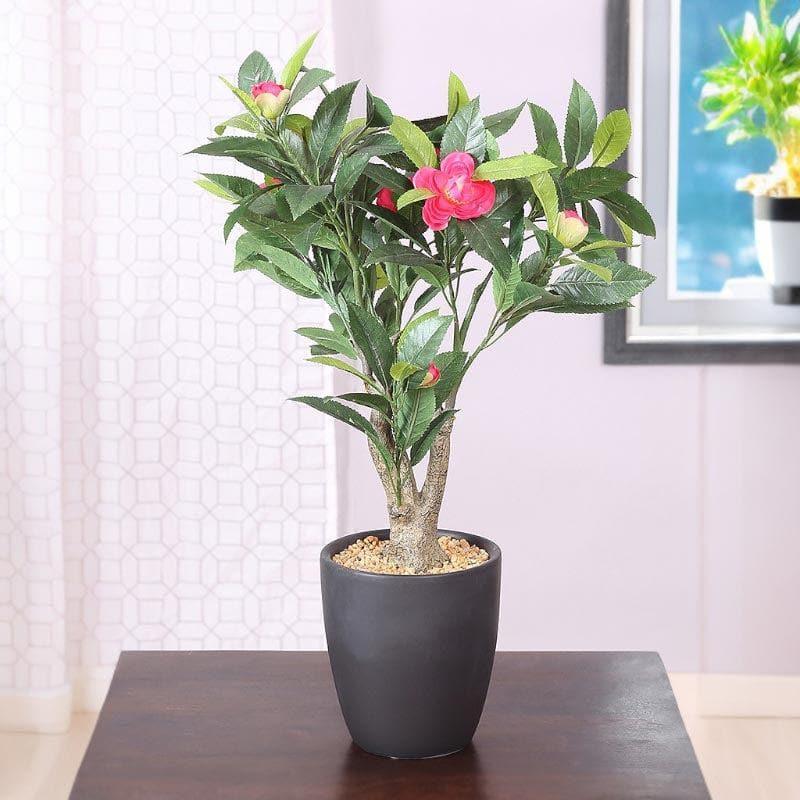 Buy Artificial Plants - Faux Camellia Bonsai In Ceramic Pot - Pink at Vaaree online