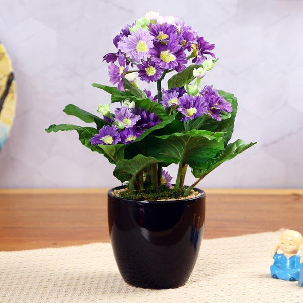 Buy Artificial Plants - Faux Primula Bonsai In Ceramic Pot - Purple at Vaaree online