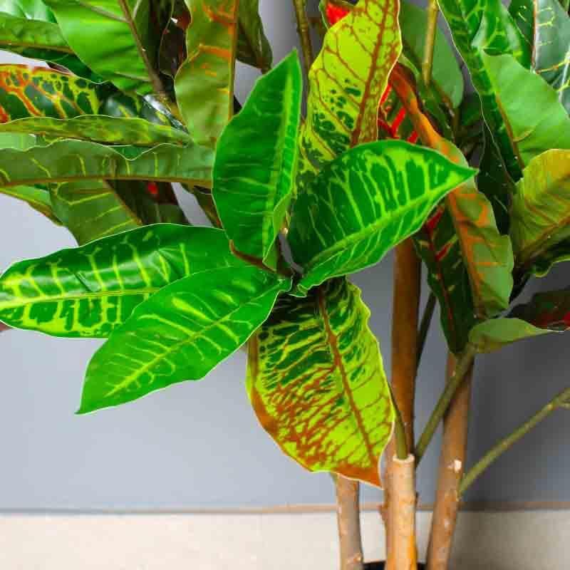 Buy Artificial Plants - Lumia Pot With Faux Large Croton Plant at Vaaree online