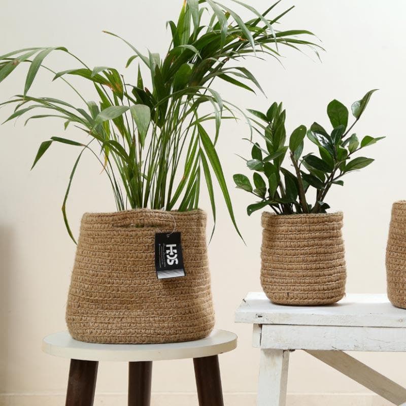 Buy Botanical Beauties Jute Planter at Vaaree online | Beautiful Pots & Planters to choose from