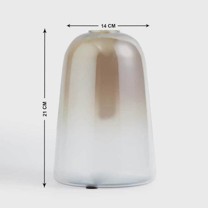 Buy Marillo Glass Dome Vase - Big at Vaaree online | Beautiful Vase to choose from