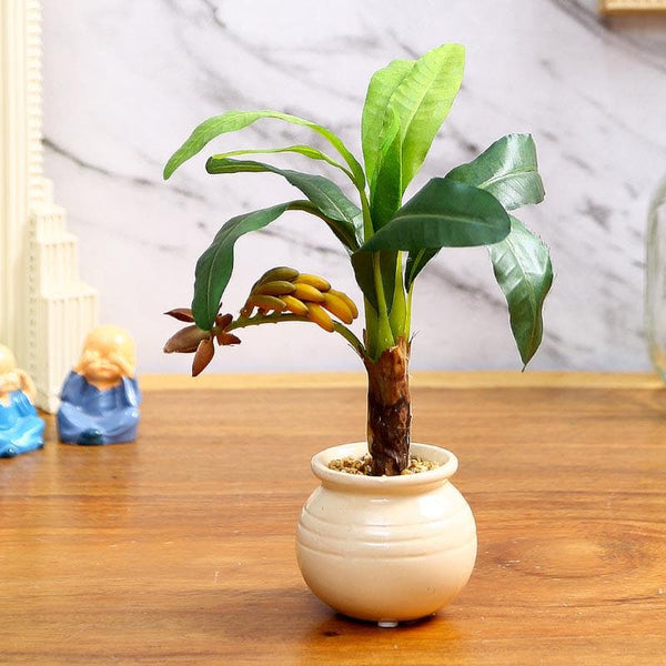 Buy Faux Banana Bonsai In Ceramic Pot - Small at Vaaree online | Beautiful Artificial Plants to choose from