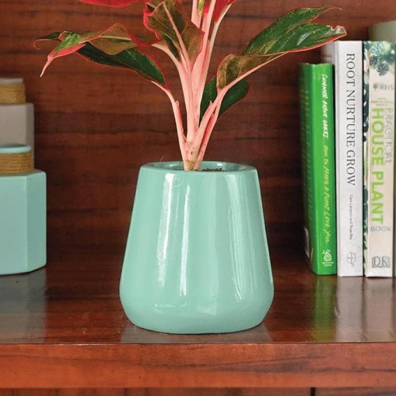 Buy Ugaoo Tulip Fantasy Ceramic Planter (12 CM) - Aqua Pots & Planters from Vaaree