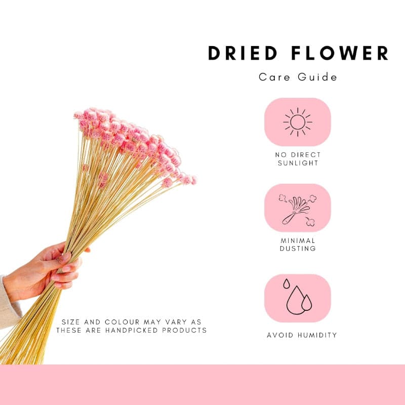 Buy Naturally Dried Gomphera Flower Bunch - Set Of Twenty Five Artificial Flowers from Vaaree