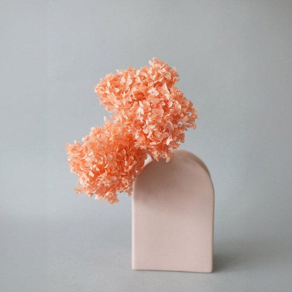 Buy Naturally Dried Hydrangea Flower Bunch - Peach Artificial Flowers from Vaaree