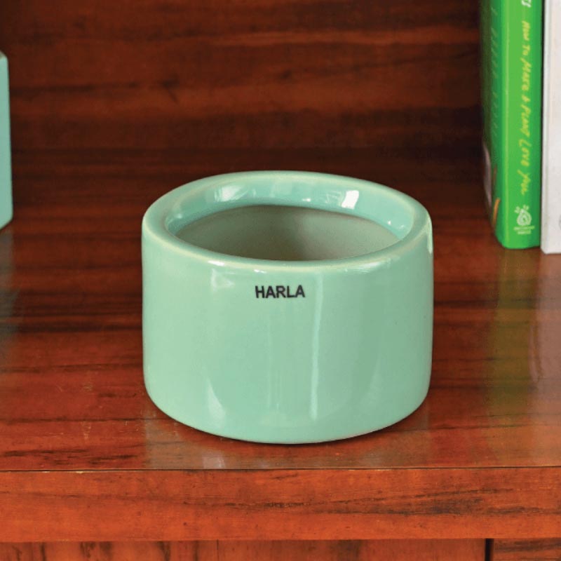 Buy Ugaoo Lilac Stories Ceramic Pot (13.5 CM) - Aqua Green Pots & Planters from Vaaree