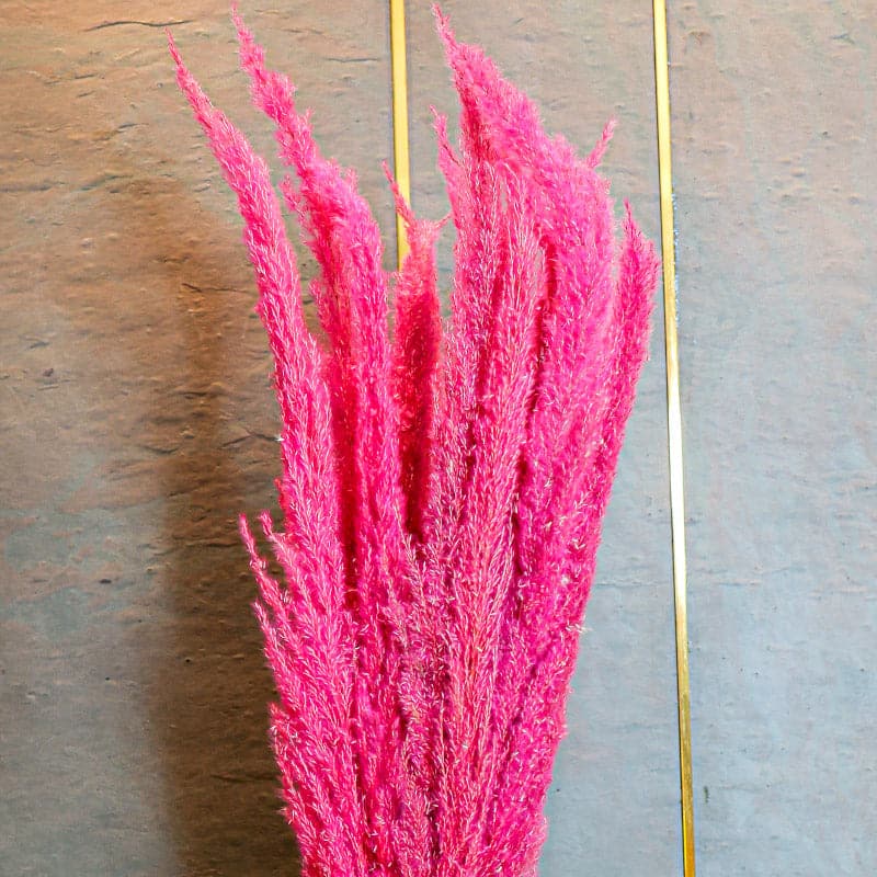 Buy Naturally Dried Pampas Flower Bunch (Dark Pink) - Set Of Ten Artificial Flowers from Vaaree