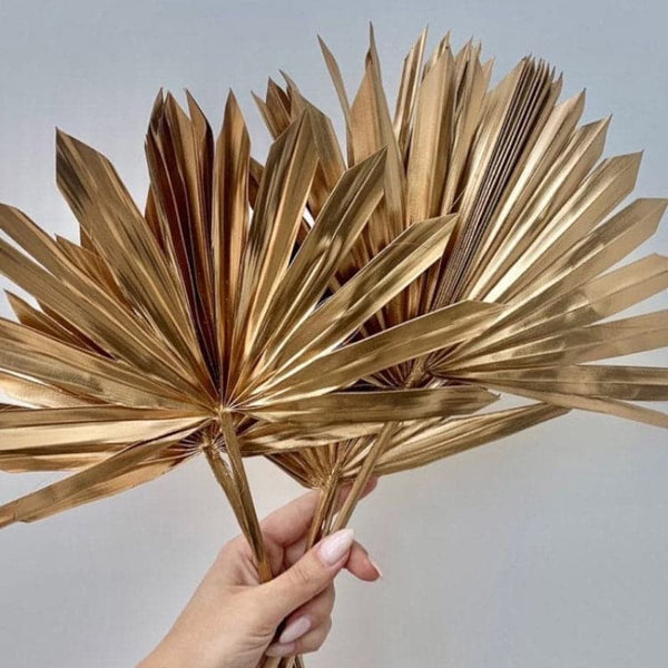 Buy Sun Palm Naturally Dried Leaves - Set Of Five Artificial Flowers from Vaaree