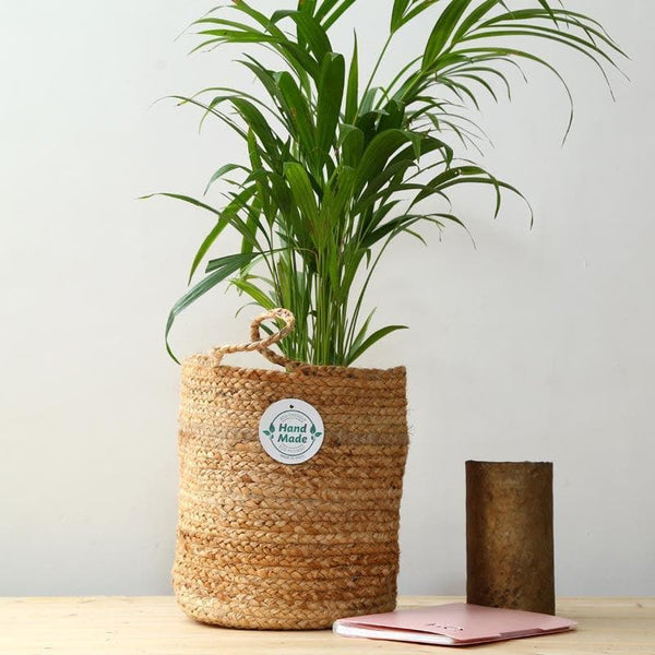 Buy Artistic Jute Planter at Vaaree online | Beautiful Pots & Planters to choose from