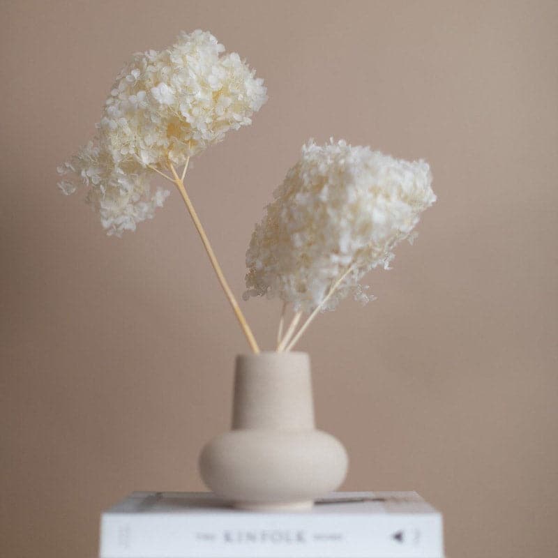 Buy Naturally Dried Hydrangea Flower Bunch - White Artificial Flowers from Vaaree