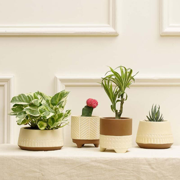Buy Terazzo Terracotta Planters - Set Of Four at Vaaree online | Beautiful Pots & Planters to choose from