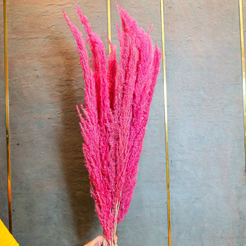 Buy Naturally Dried Pampas Flower Bunch (Dark Pink) - Set Of Ten Artificial Flowers from Vaaree