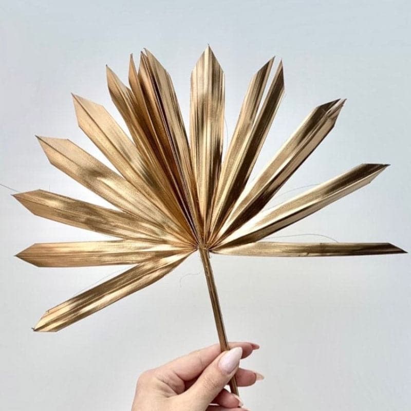 Buy Sun Palm Naturally Dried Leaves - Set Of Five Artificial Flowers from Vaaree