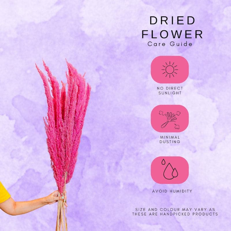 Buy Naturally Dried Pampas Flower Bunch (Dark Pink) - Set Of Ten Artificial Flowers from Vaaree