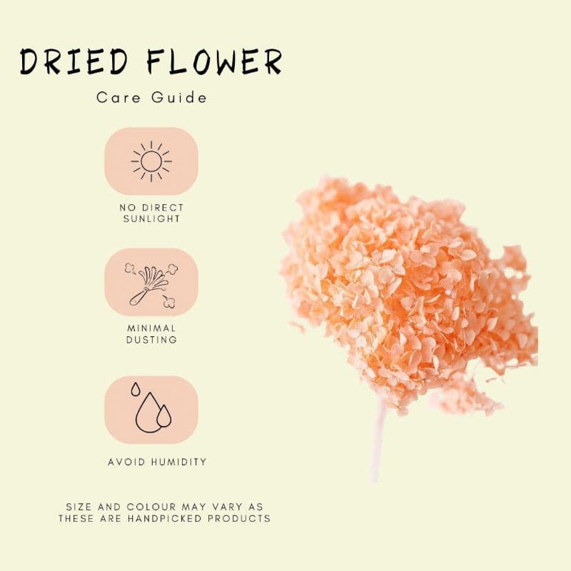 Buy Naturally Dried Hydrangea Flower Bunch - Peach Artificial Flowers from Vaaree