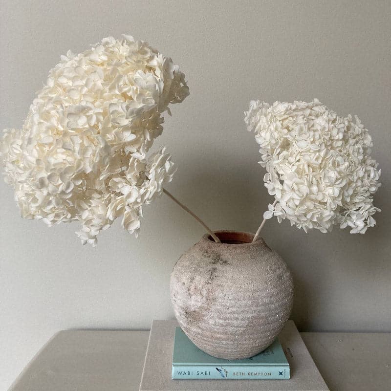 Buy Naturally Dried Hydrangea Flower Bunch - White Artificial Flowers from Vaaree