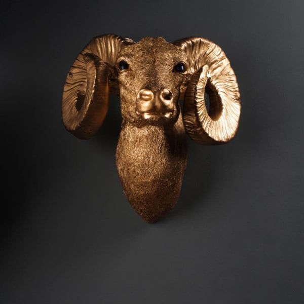 Buy Ramzie Ram Head Wall Mounted Showpiece at Vaaree online | Beautiful Wall Accents to choose from
