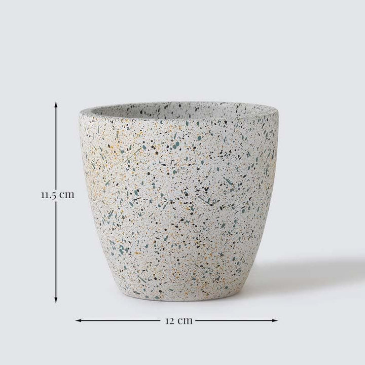 Buy Scarlett Textured Planter - White at Vaaree online | Beautiful Pots & Planters to choose from