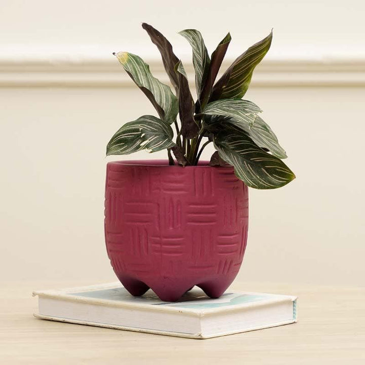 Buy Ludwig Planter - Fuschia at Vaaree online | Beautiful Pots & Planters to choose from