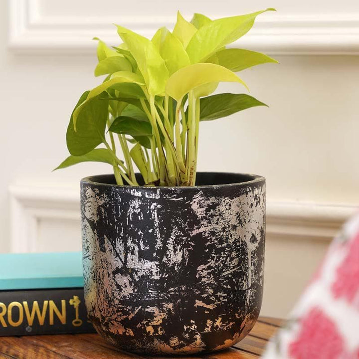 Buy Silver Embossed Planter at Vaaree online | Beautiful Pots & Planters to choose from