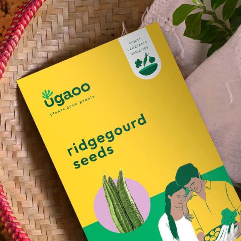 Buy Ugaoo Ridge Gourd Seeds at Vaaree online | Beautiful Seeds to choose from