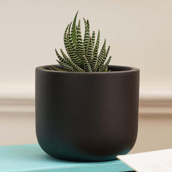 Buy Oh-So Cute Planter- Black at Vaaree online | Beautiful Pots & Planters to choose from