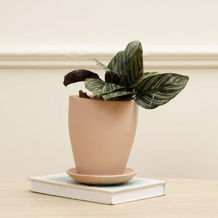 Buy Easy-Peasy Planter - PInk at Vaaree online | Beautiful Pots & Planters to choose from