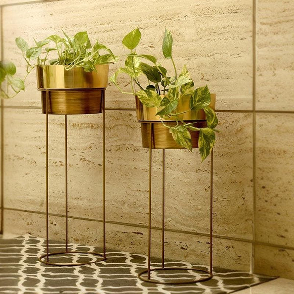 Buy Buckety Metal Planter - Set Of Two at Vaaree online | Beautiful Pots & Planters to choose from