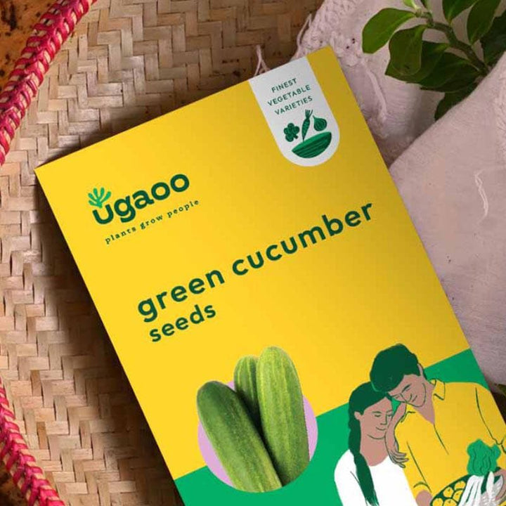 Buy Ugaoo Green Cucumber Vegetable Seeds at Vaaree online | Beautiful Seeds to choose from