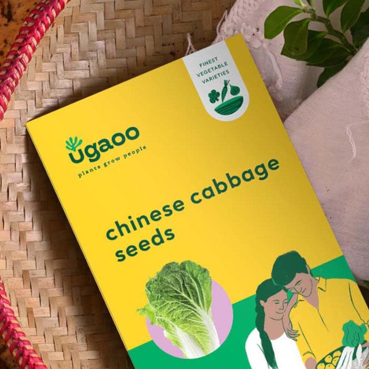 Buy Ugaoo Chinese Cabbage Seeds at Vaaree online | Beautiful Seeds to choose from