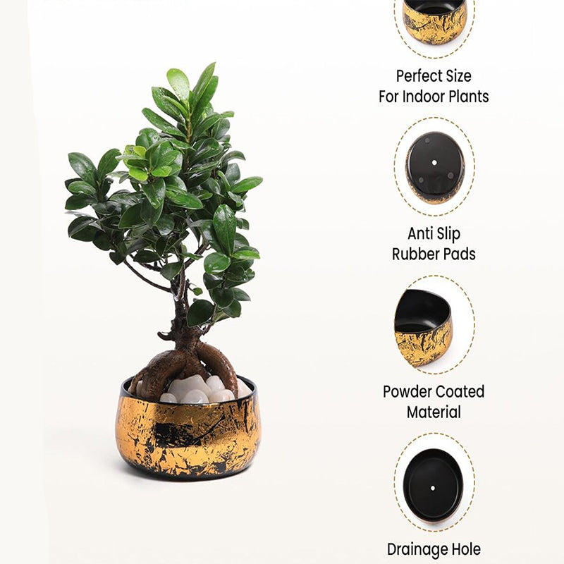 Buy Zima Metal Planter Pots & Planters from Vaaree