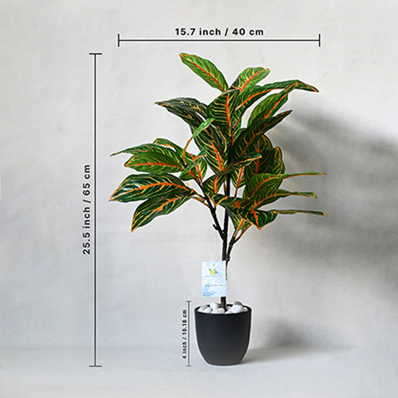 Buy Faux Everlasting Aglaonema Plant With Pot - 2.5 Feet Artificial Plants from Vaaree