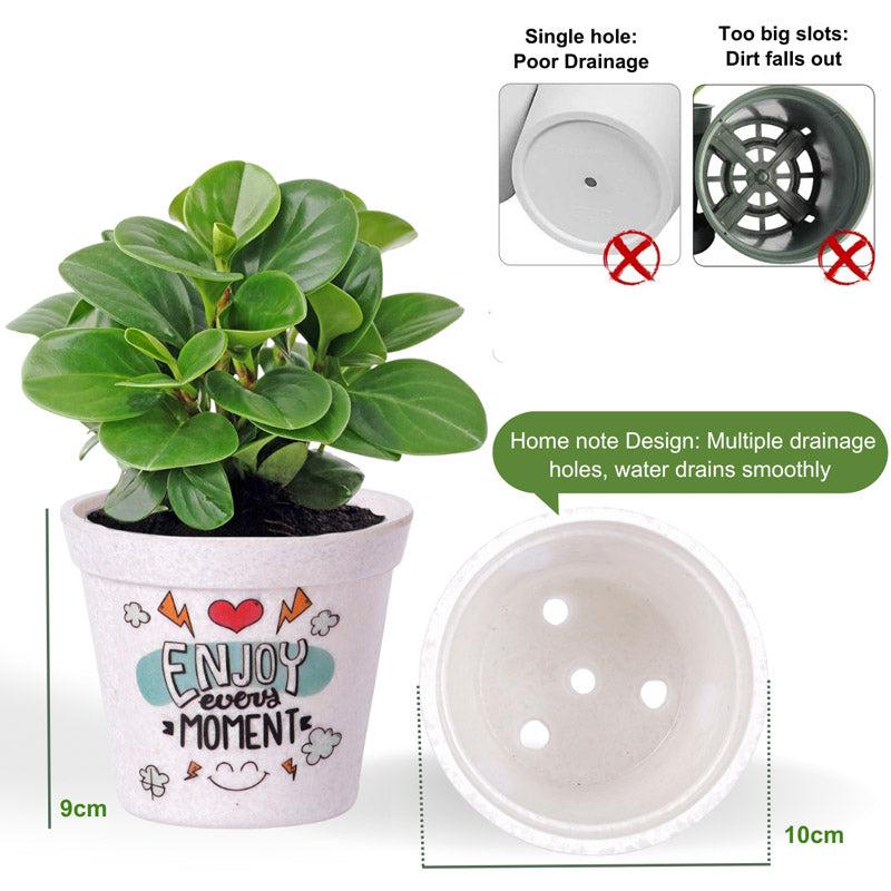 Buy Enjoy Every Moment Planter Pots & Planters from Vaaree