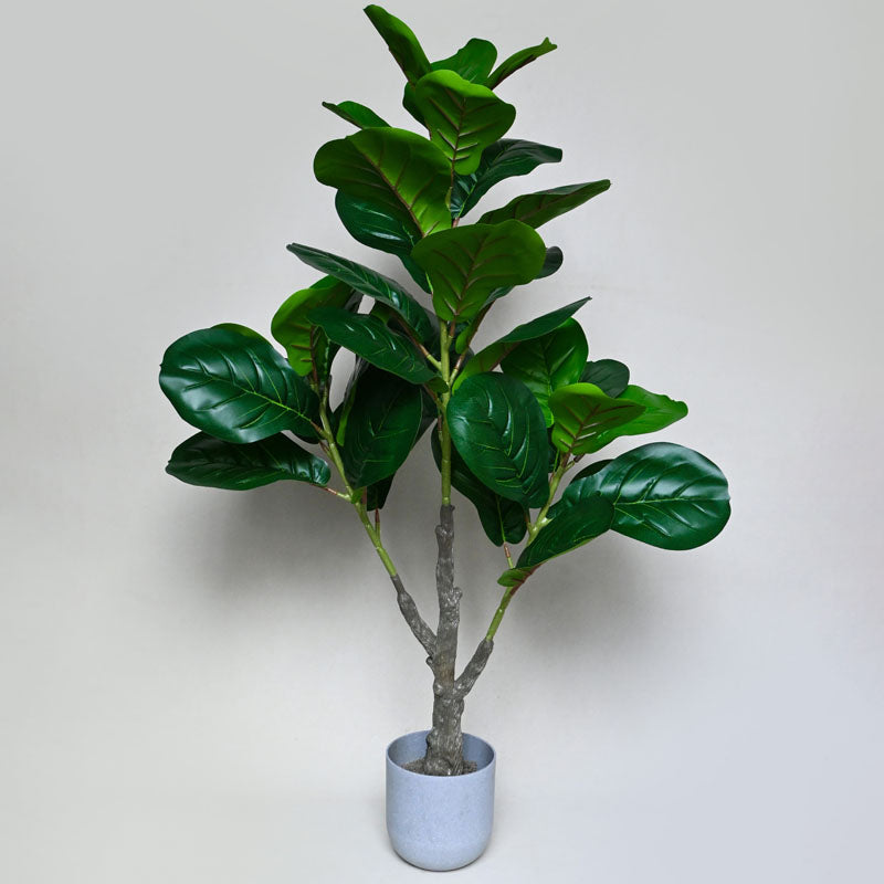 Buy Faux Everlasting Fiddle-Leaf Fig Plant With Pot - 3.2 Feet Artificial Plants from Vaaree