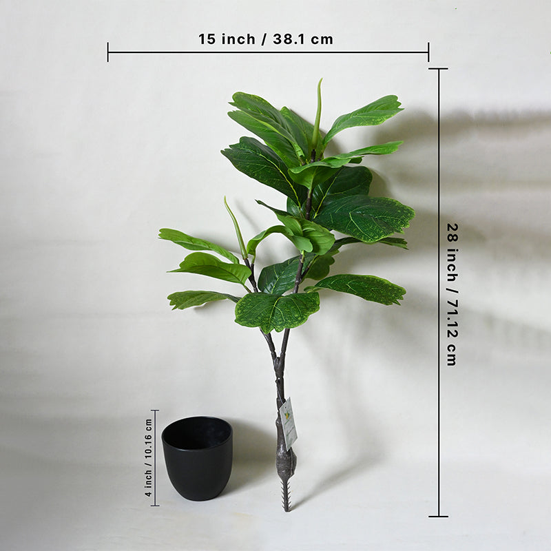 Buy Faux Everlasting Fiddle Leaf Fig Plant With Pot - 2.4 Feet Artificial Plants from Vaaree