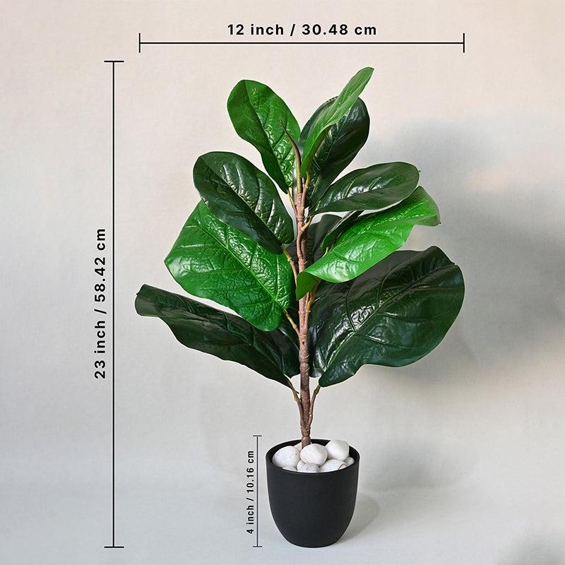 Buy Faux Everlasting Fiddle-Leaf Fig Plant With Pot - 58 Cms Artificial Plants from Vaaree