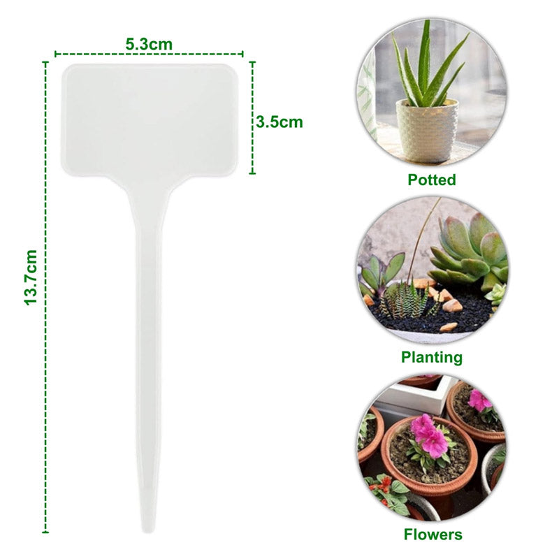 Buy Nedura Plant Marker - Set Of Twenty five Garden Accessories from Vaaree