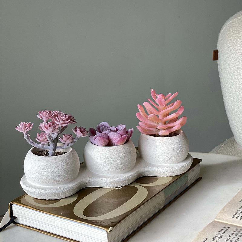 Buy Faux Pink Trio Succulents Artificial Plants from Vaaree