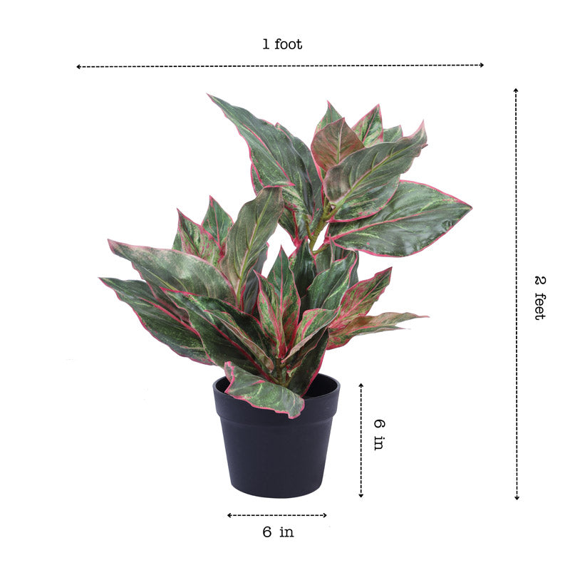 Buy Faux Realistic Dieffenbachia With Pot - Green Artificial Plants from Vaaree