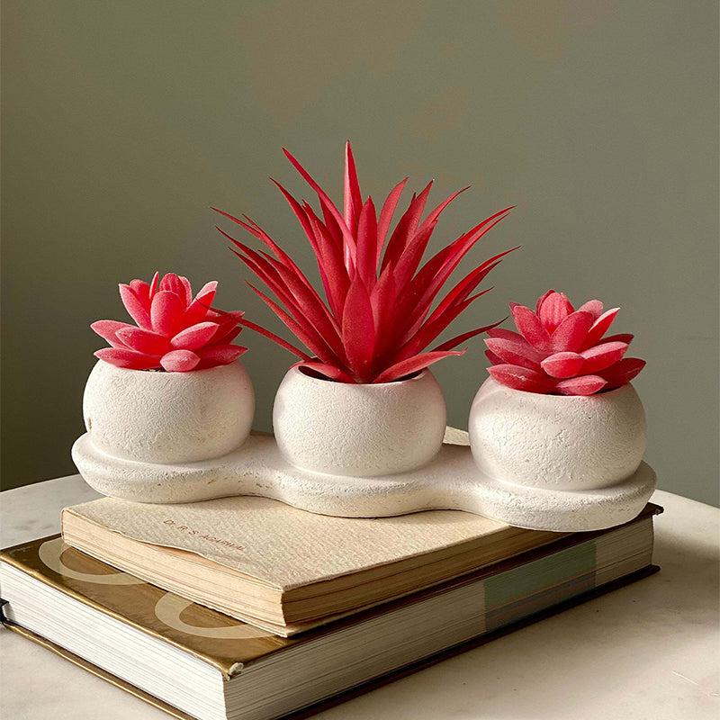 Buy Faux Red Trio Succulents Artificial Plants from Vaaree