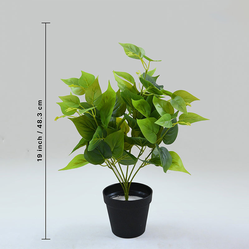 Buy Faux Everlasting Jade Pothos Plant With Pot - 48 Cms Artificial Plants from Vaaree