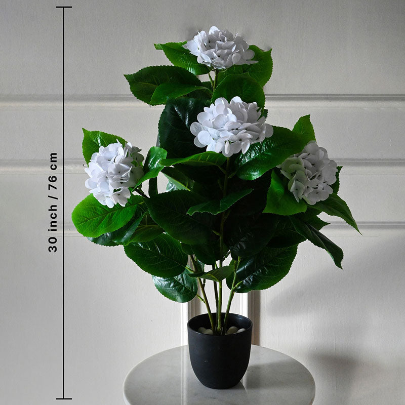 Buy Faux Everlasting Hydrangea Plant With Pot (White) - 2.5 Feet Artificial Plants from Vaaree