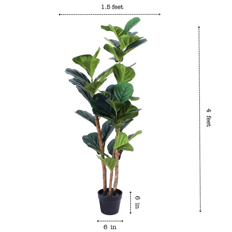 Buy Faux Realistic Fiddle Leaf Fig Plant With Pot - 3.9 Feet Artificial Plants from Vaaree