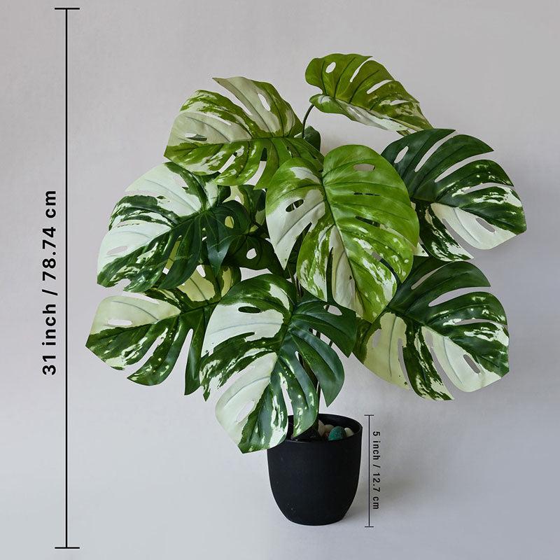 Buy Faux Everlasting Monstera Deliciosa Faux Everlasting Plant With Pot - 2.6 Feet Artificial Plants from Vaaree