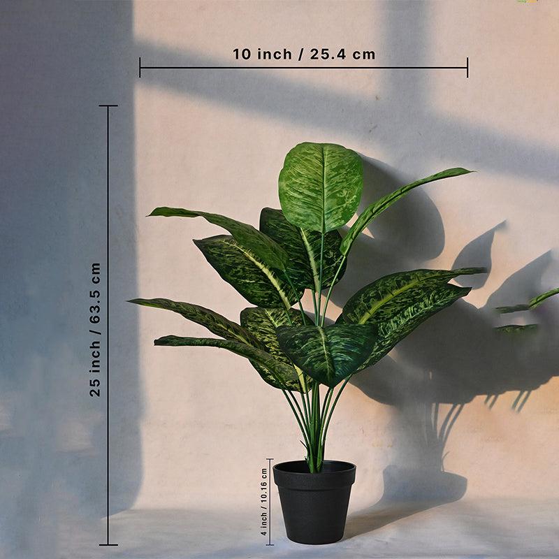 Buy Faux Everlasting Dieffenbachia Plant With Pot - 2.1 Feet Artificial Plants from Vaaree