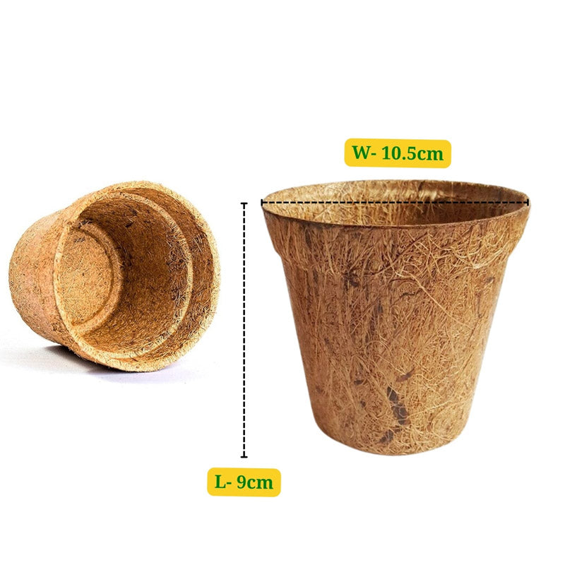 Buy Miriya Coir Pot - Set Of Three Pots & Planters from Vaaree