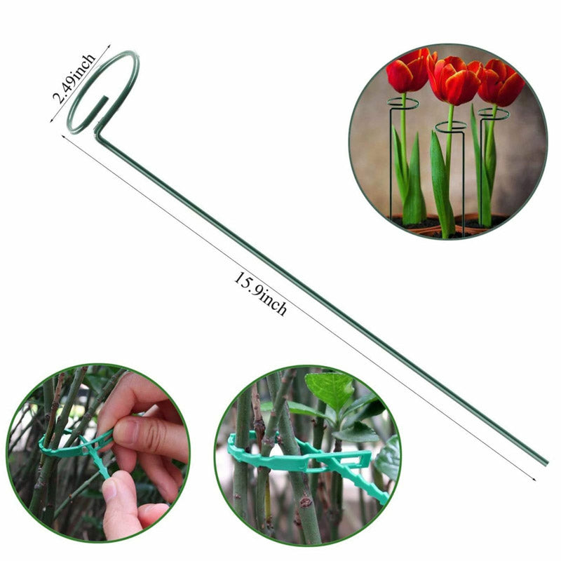 Buy Amo Metal Plant Stake - Set Of Three Garden Accessories from Vaaree